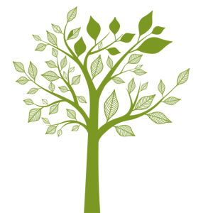 baum-gruen
